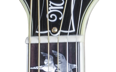 Gibson Doves in Flight Mystic Rosewood : SSDFMRGH1 FRETBOARD PANEL 03