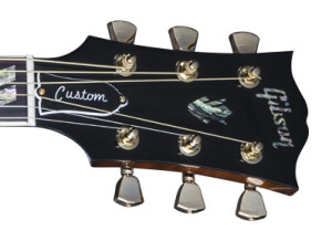 Gibson Dove Custom Acacia