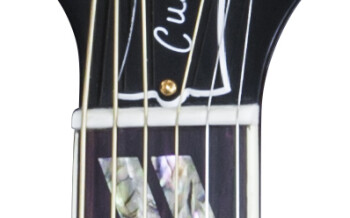 Gibson Dove Custom Acacia : SSDOCAGH1 FRETBOARD PANEL 03