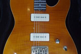 Willow's Bent Top T P90