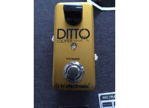 TC Electronic Ditto Looper Gold (70440)