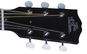 LSL1RSNH1 FRETBOARD PANEL 01 LSL1RSNH1 FRETBOARD PANEL 01