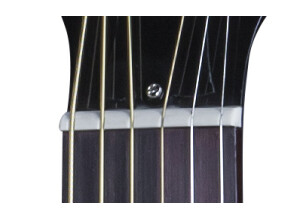 LSL1RSNH1 FRETBOARD PANEL 03