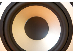 Tannoy Reveal 601a 071