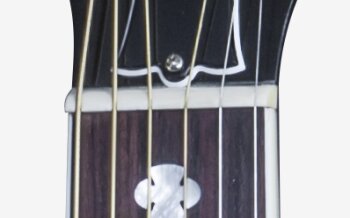 LSNLGRGH1 FRETBOARD PANEL 03 LSNLGRGH1 FRETBOARD PANEL 03