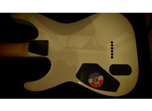 LTD 30th Anniversary Kill 'Em All (39520)