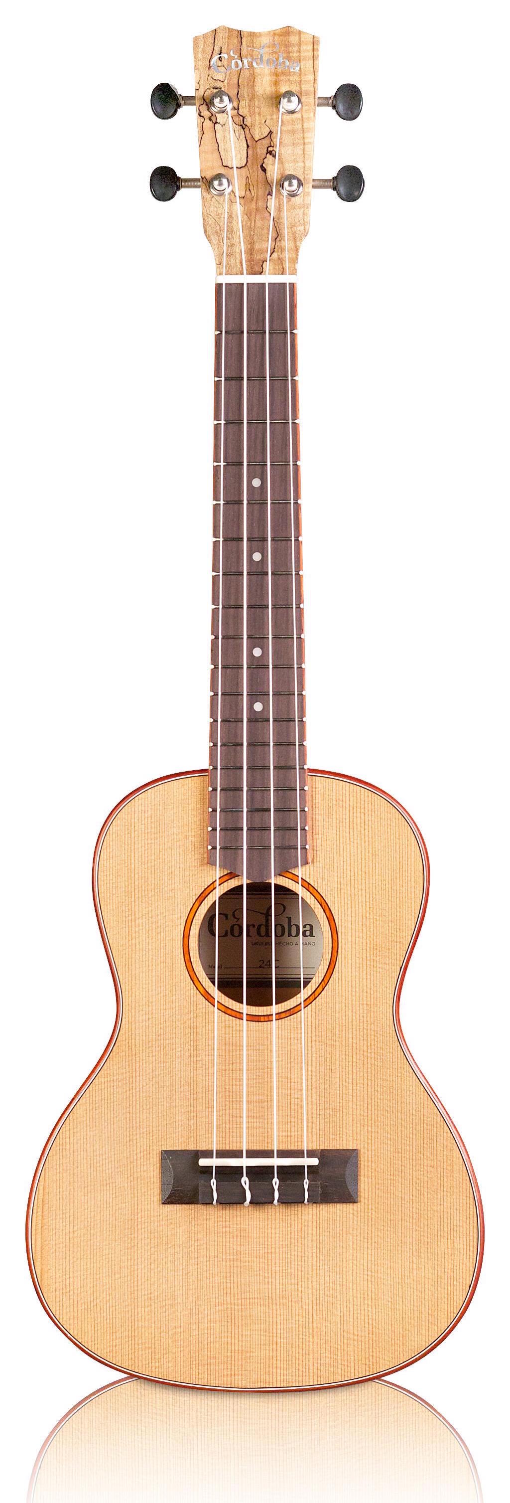 Cordoba 24C : 24C front