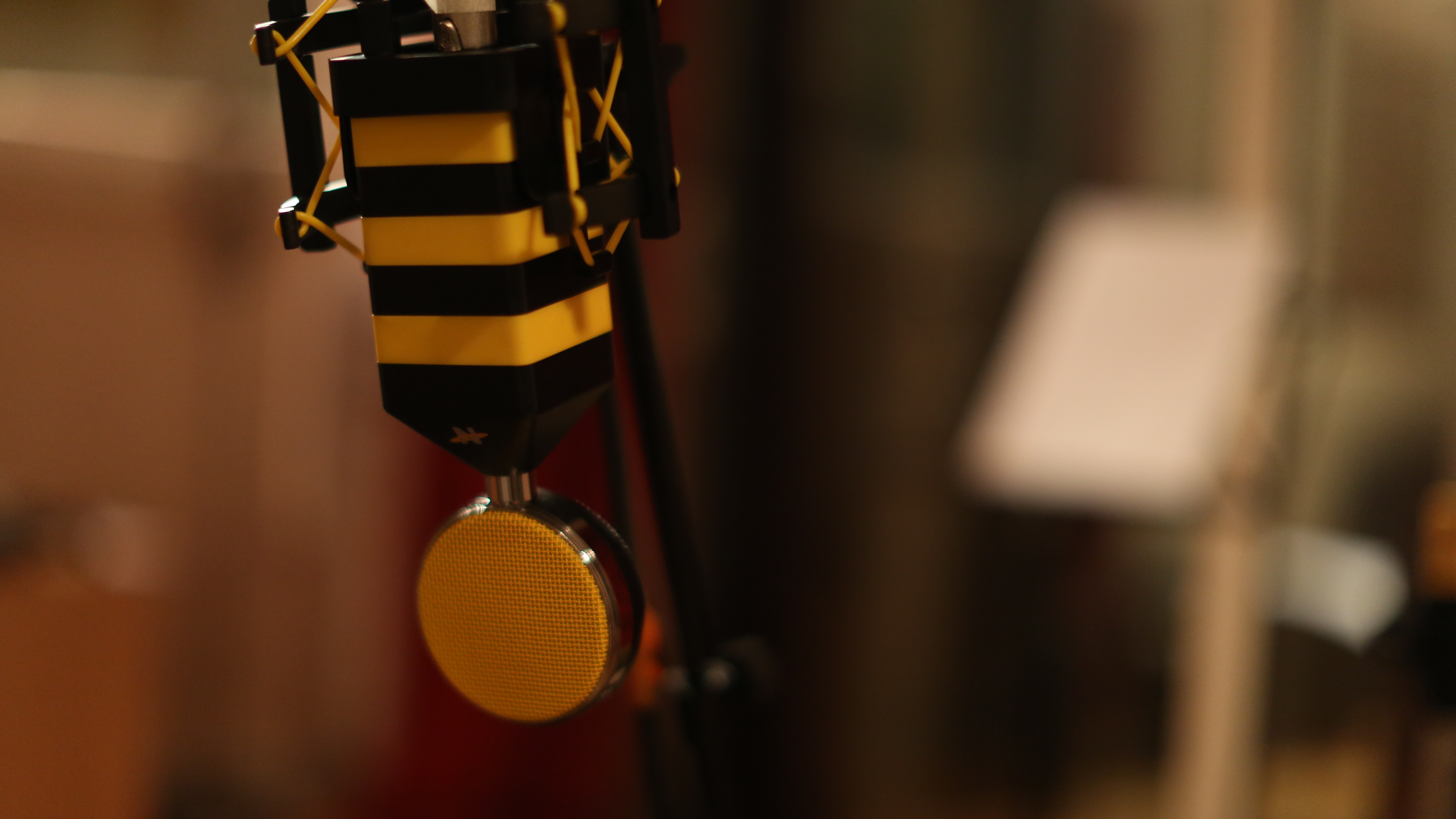 Neat Microphones King Bee : 148A0153.JPG