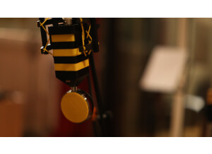 Neat Microphones King Bee (50775)