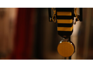 Neat Microphones King Bee (60130)
