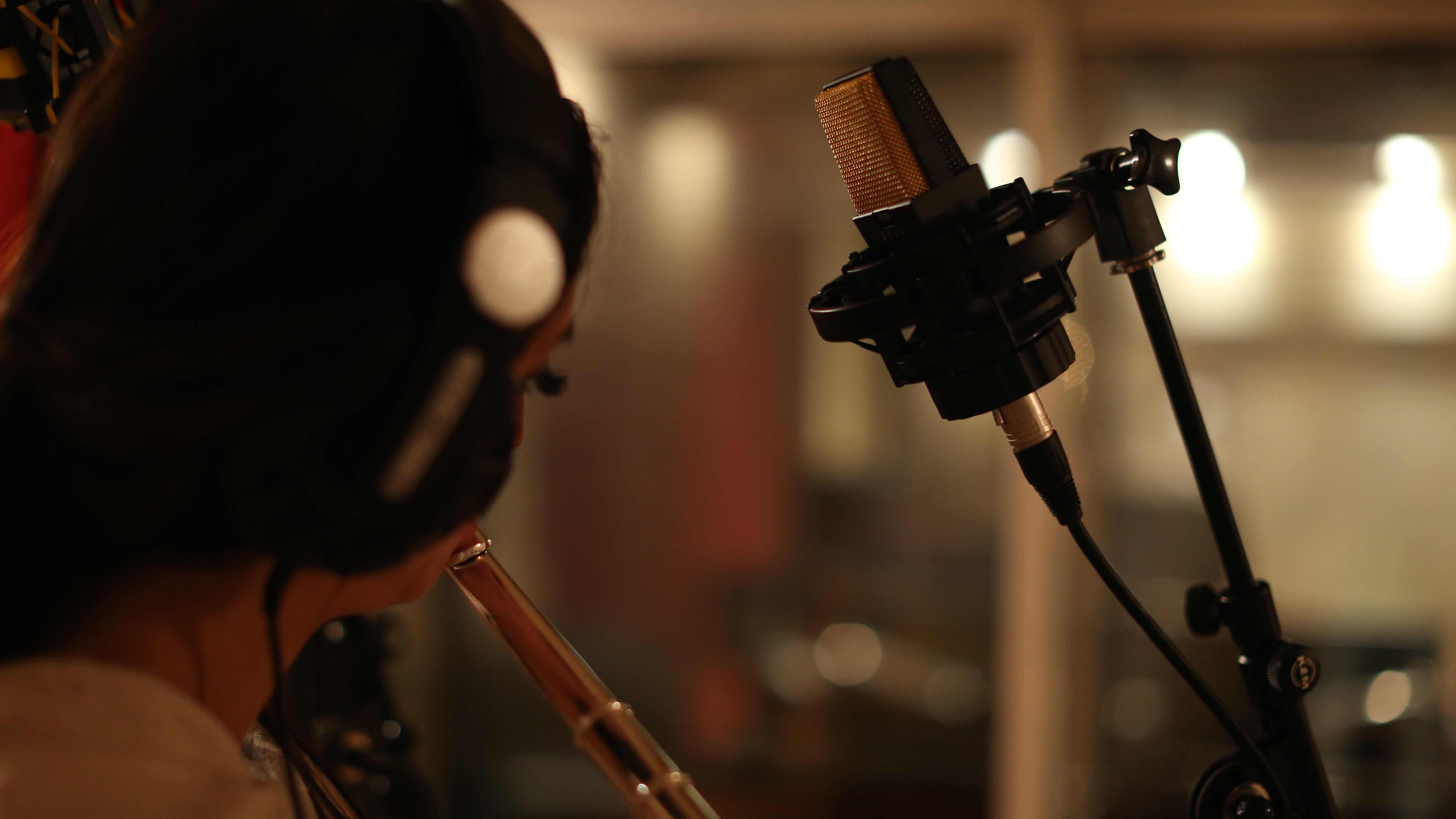 Neat Microphones Worker Bee : 148A0183.JPG