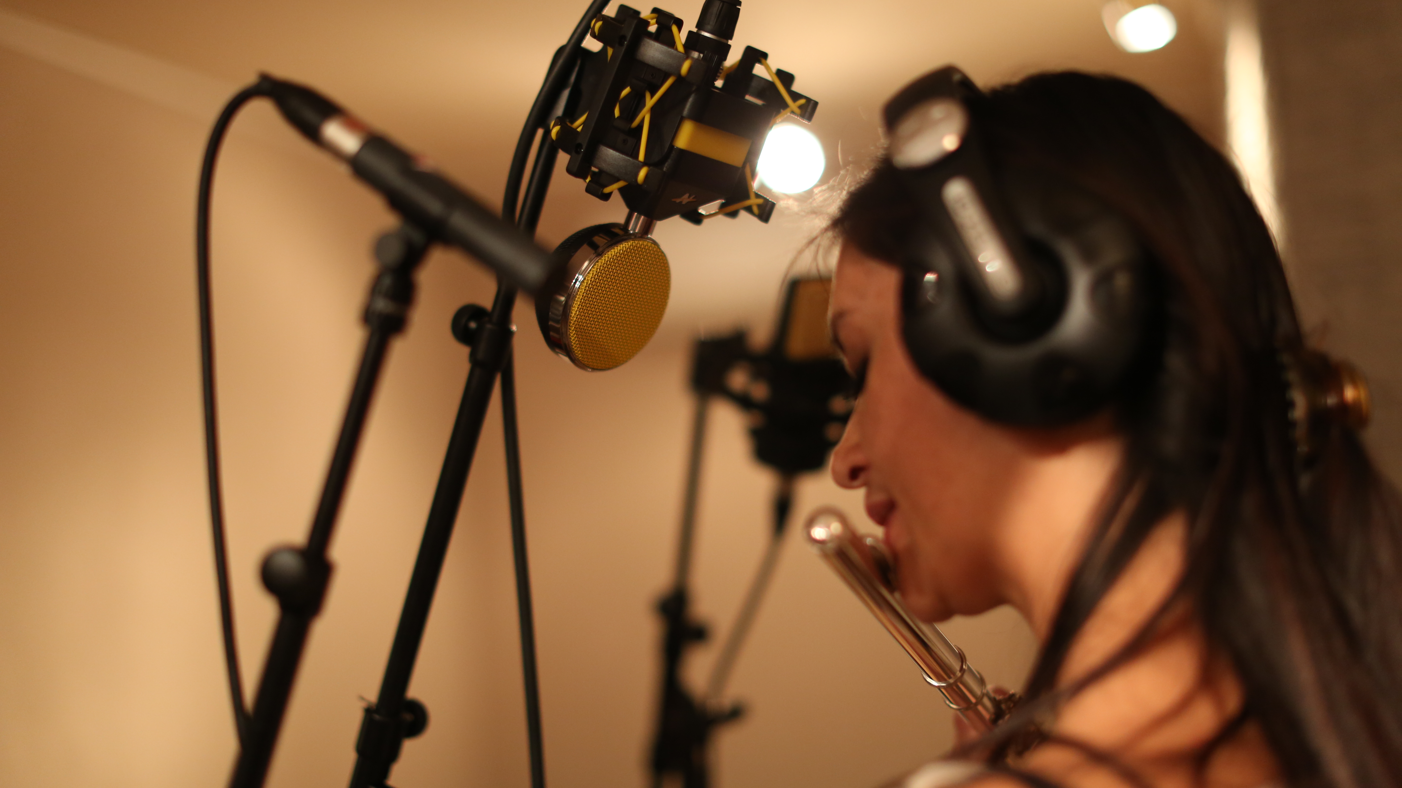 Neat Microphones King Bee : 148A0181.JPG