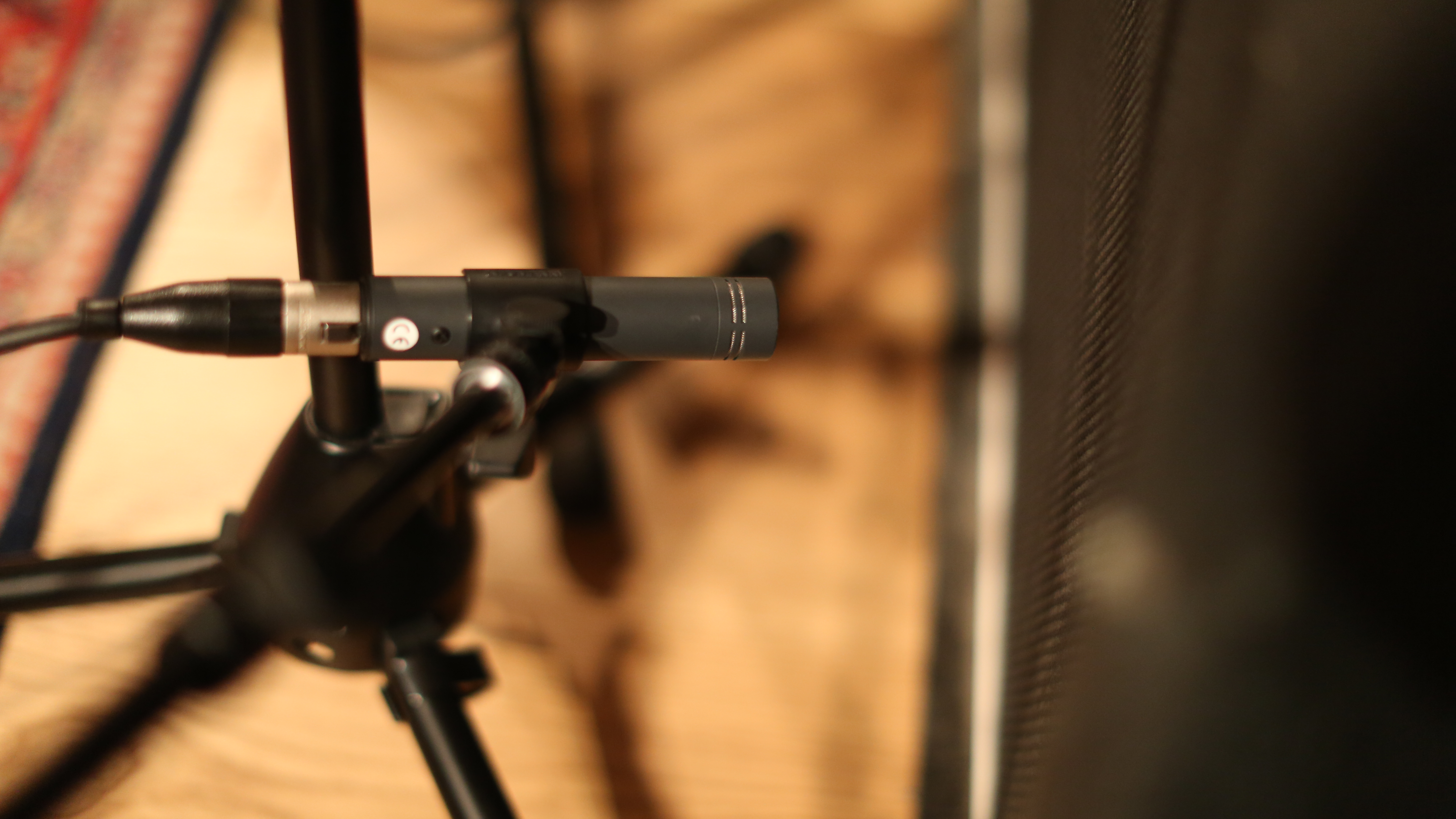 Neat Microphones King Bee : 148A0169.JPG