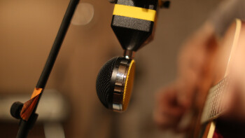 Neat Microphones King Bee : 148A0145.JPG