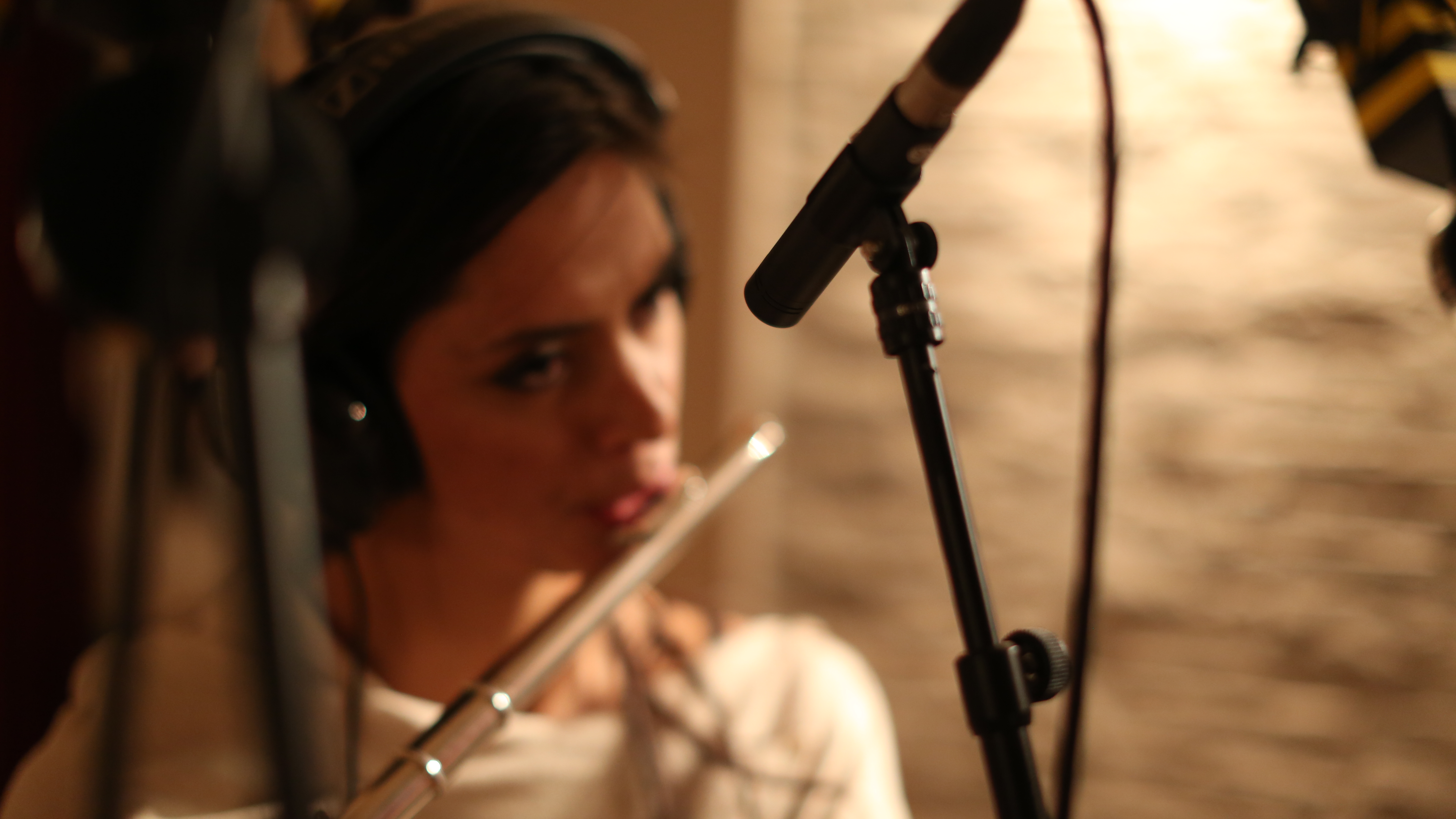 Neat Microphones King Bee : 148A0179.JPG