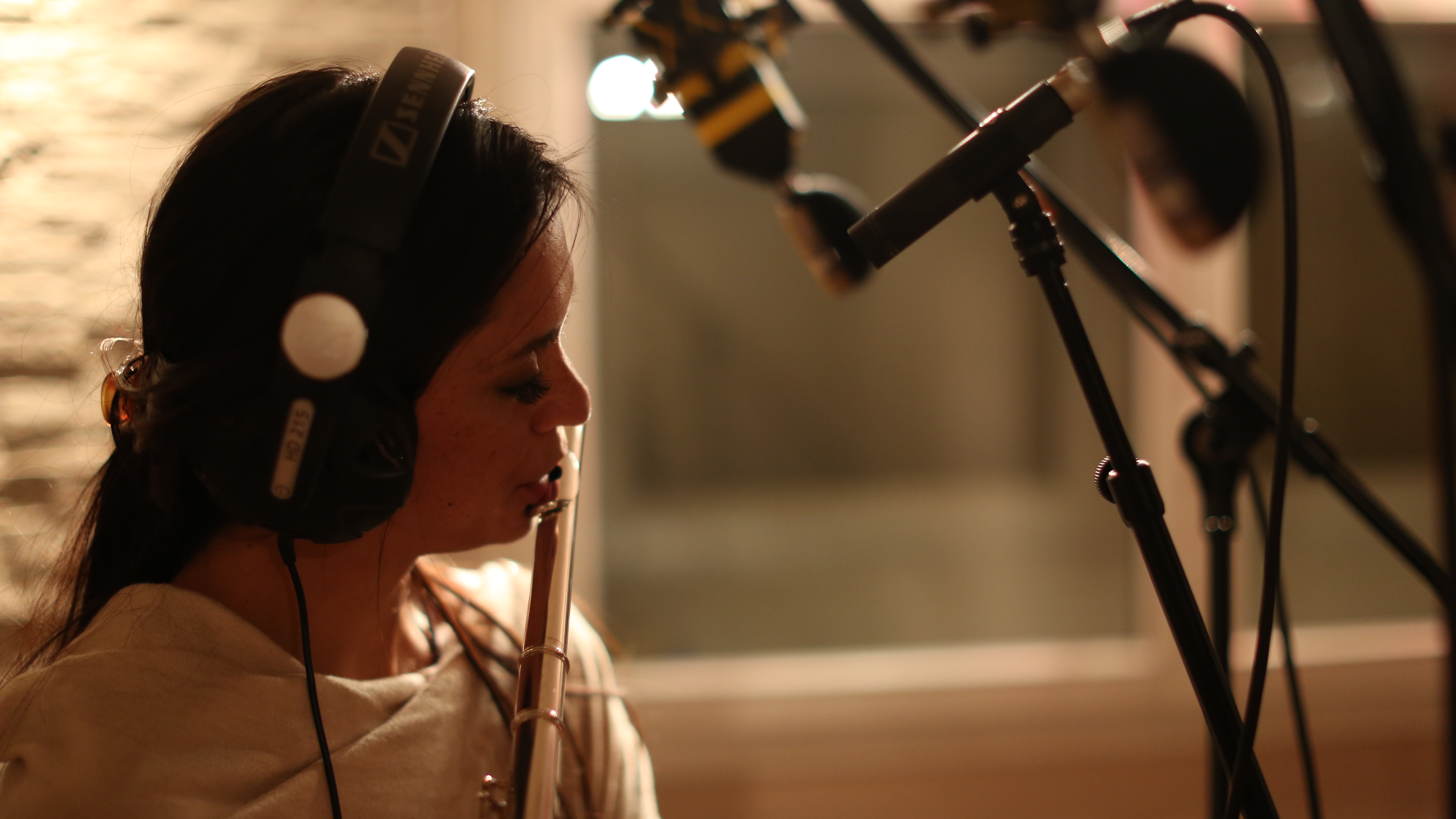 Neat Microphones King Bee : 148A0178.JPG