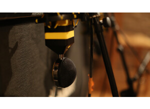 Neat Microphones King Bee (94887)