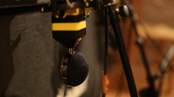 Neat Microphones Worker Bee : 148A0166.JPG