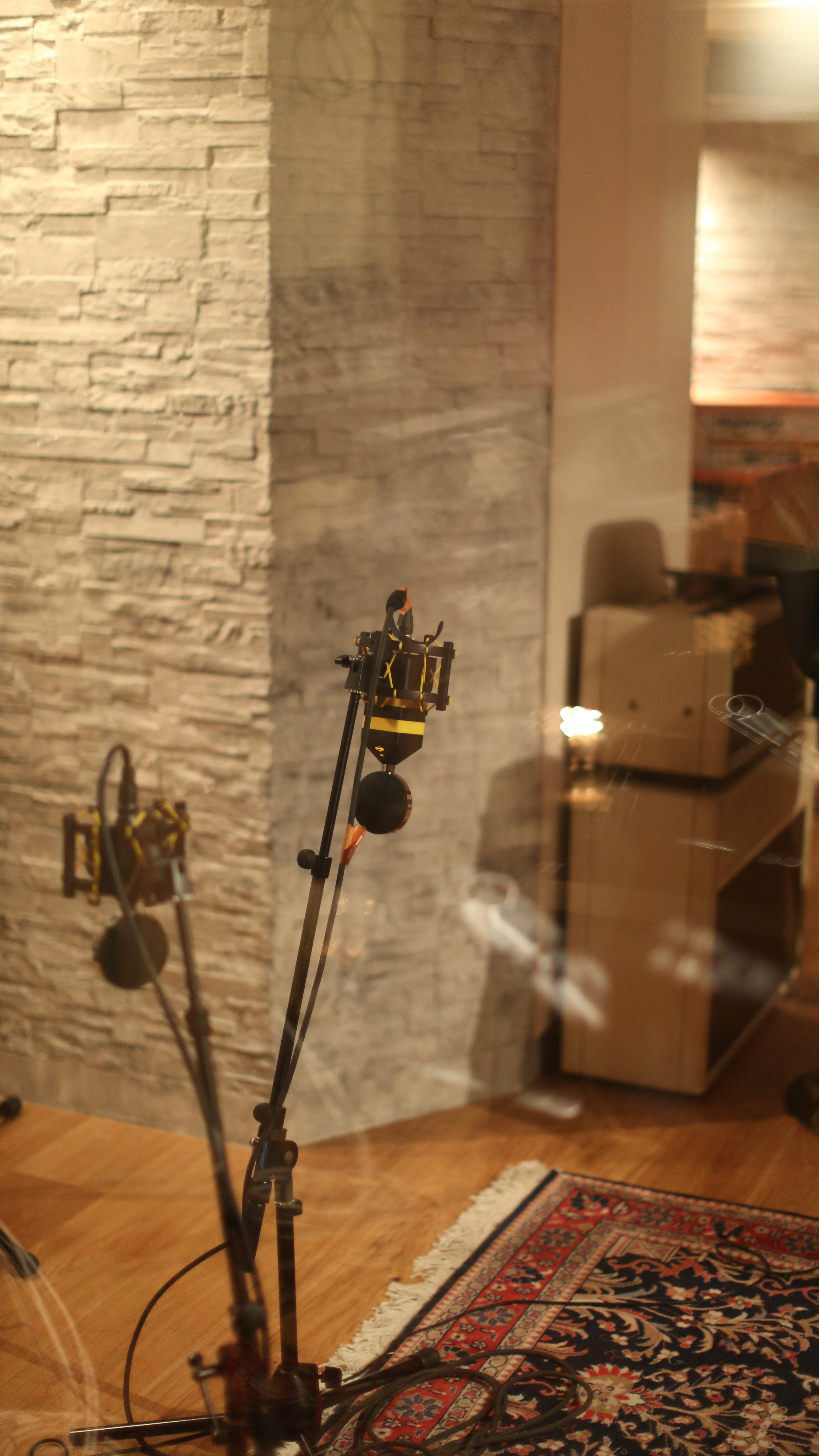 Neat Microphones King Bee : 148A0131.JPG