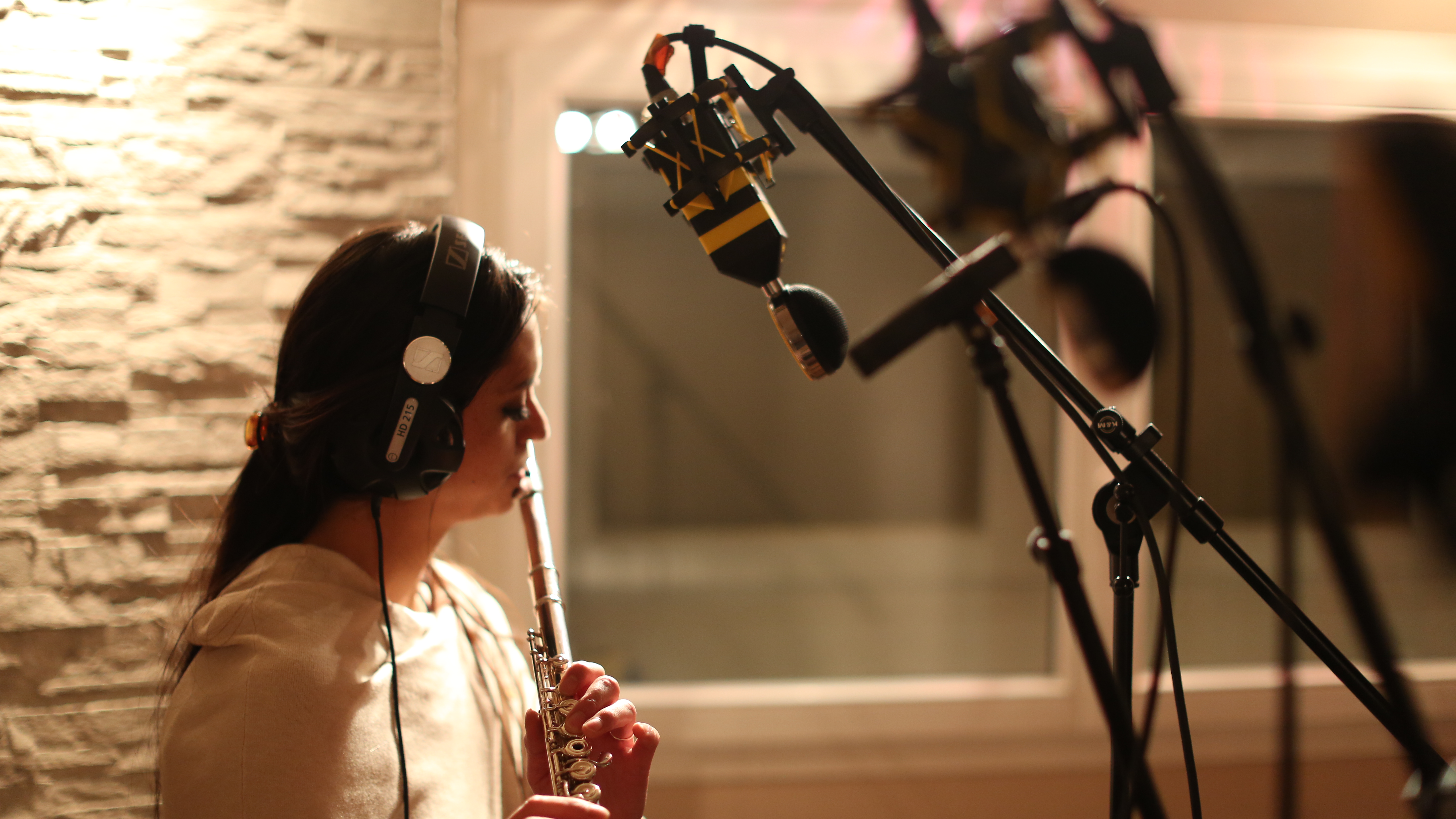 Neat Microphones King Bee : 148A0176.JPG