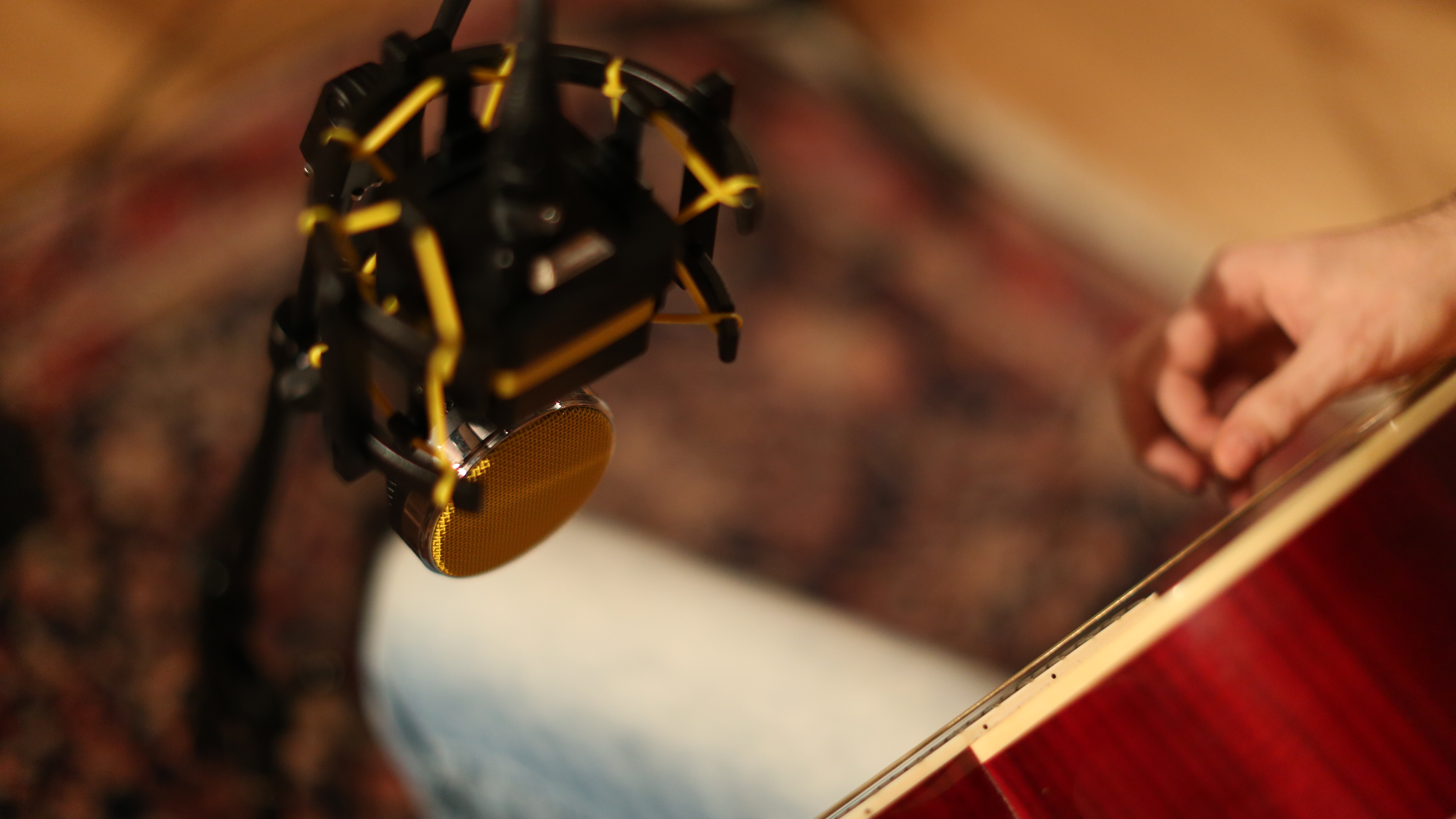 Neat Microphones King Bee : 148A0142.JPG