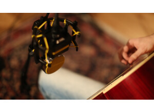 Neat Microphones King Bee (16355)