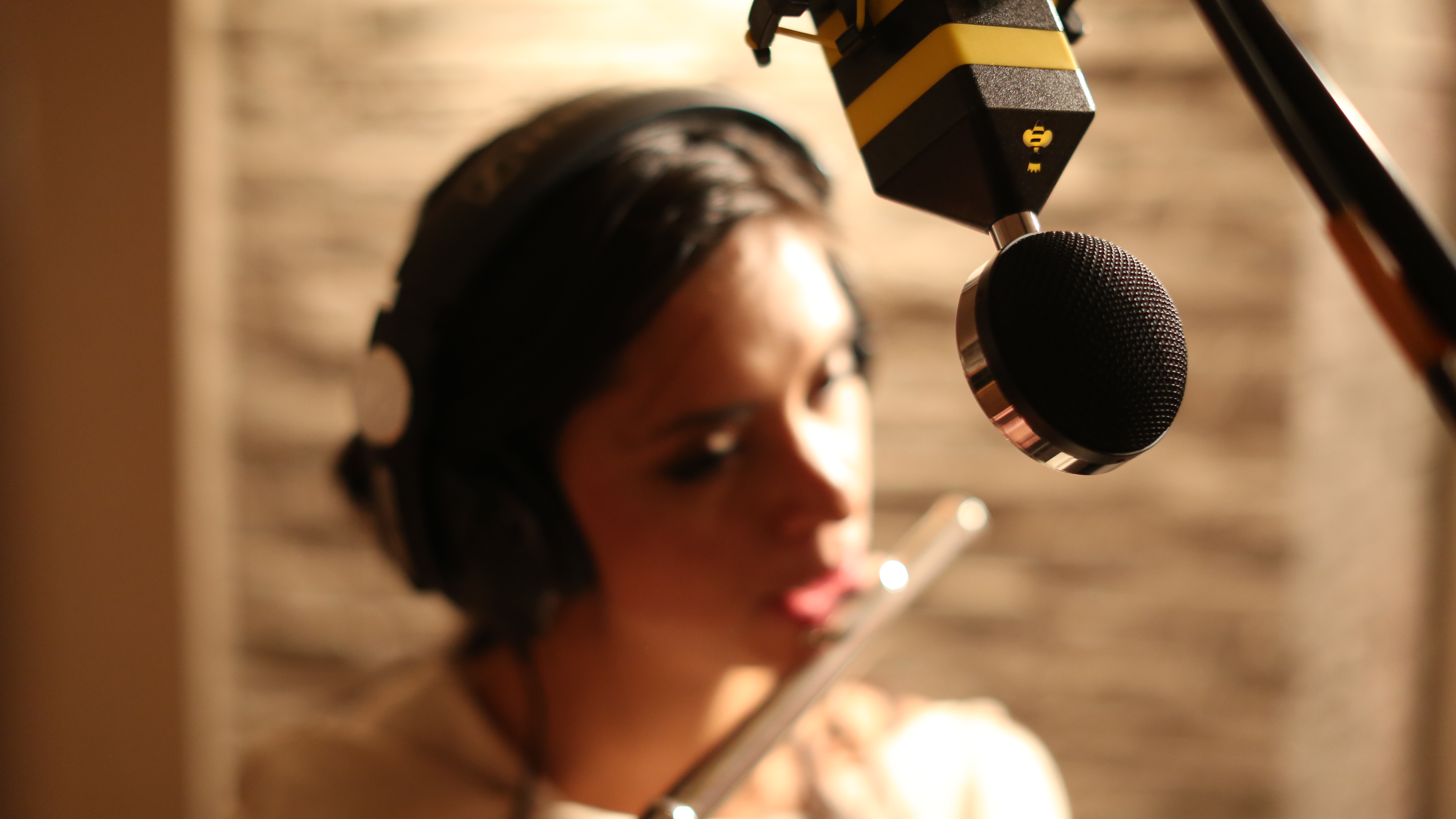 Neat Microphones King Bee : 148A0175.JPG