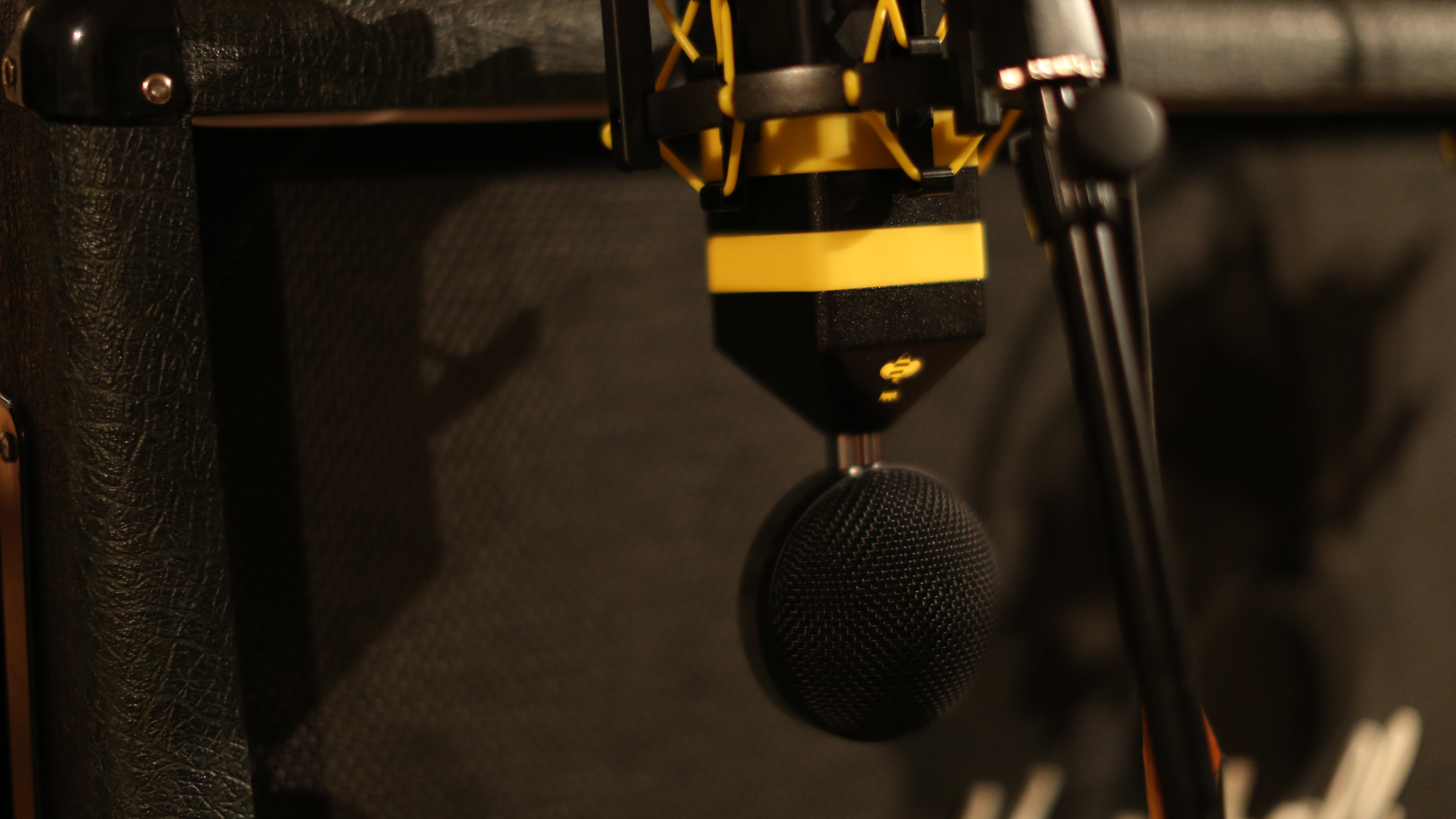 Neat Microphones King Bee : 148A0162.JPG