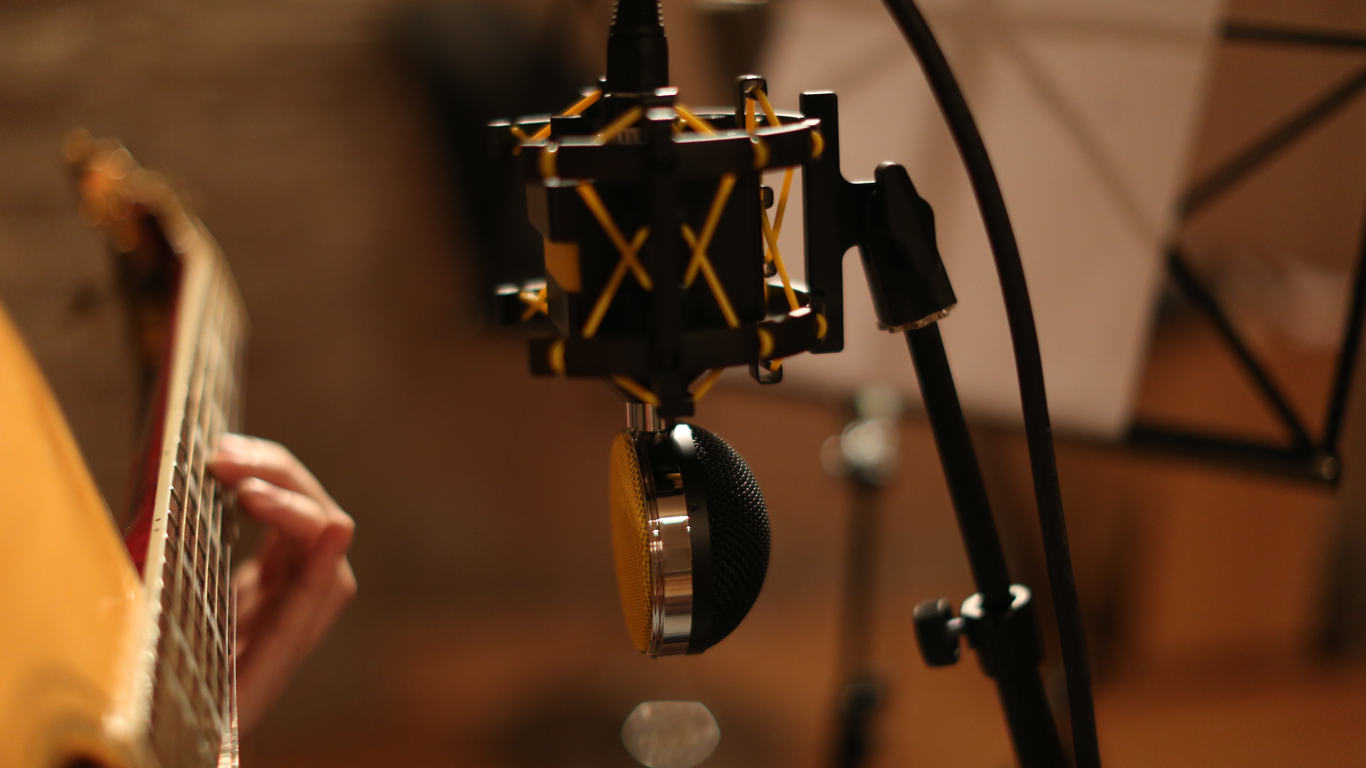 Neat Microphones King Bee : 148A0140.JPG