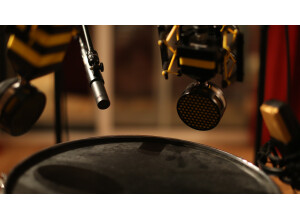 Neat Microphones King Bee (35539)
