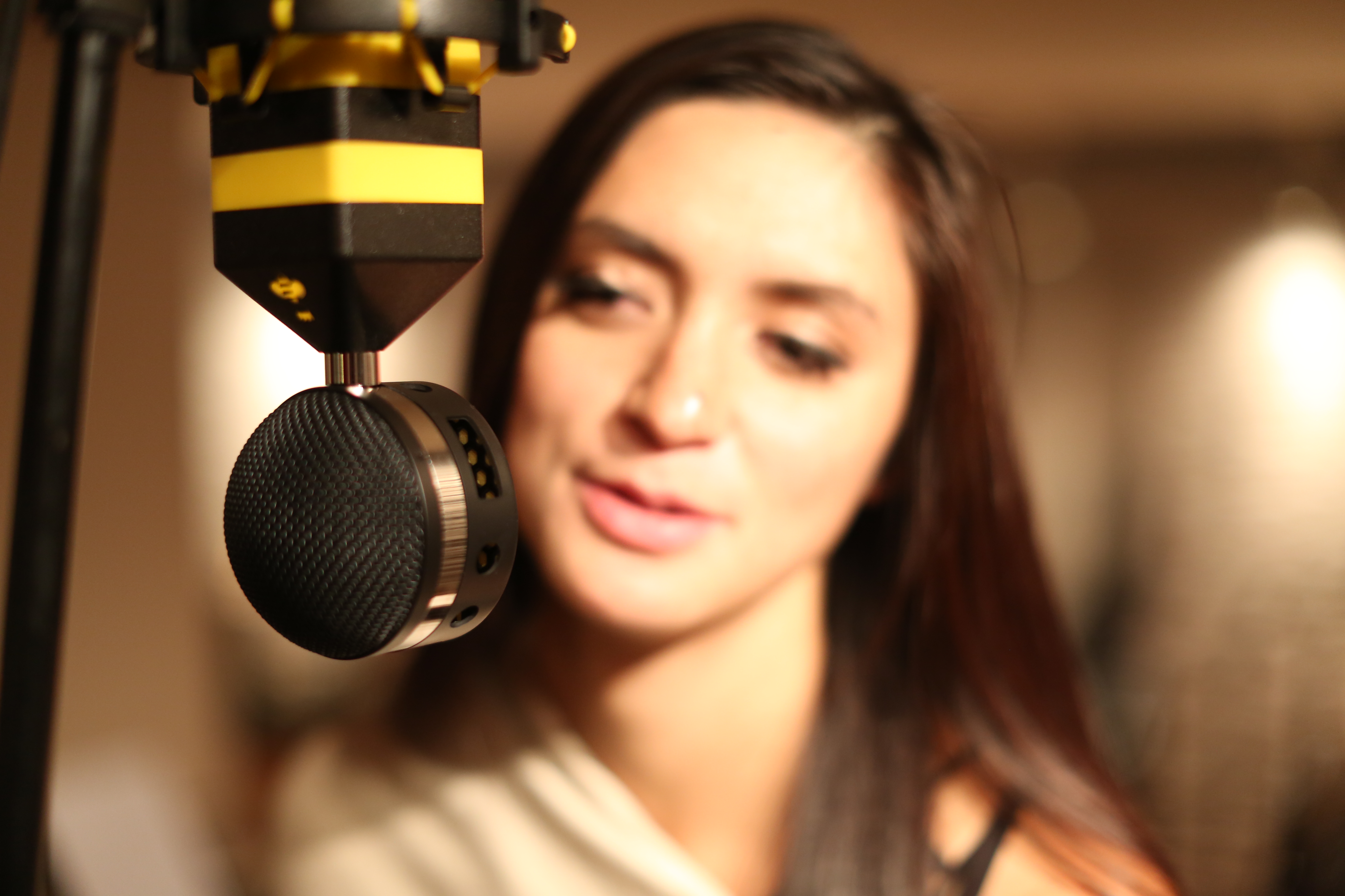 Neat Microphones Worker Bee : 148A0187.JPG