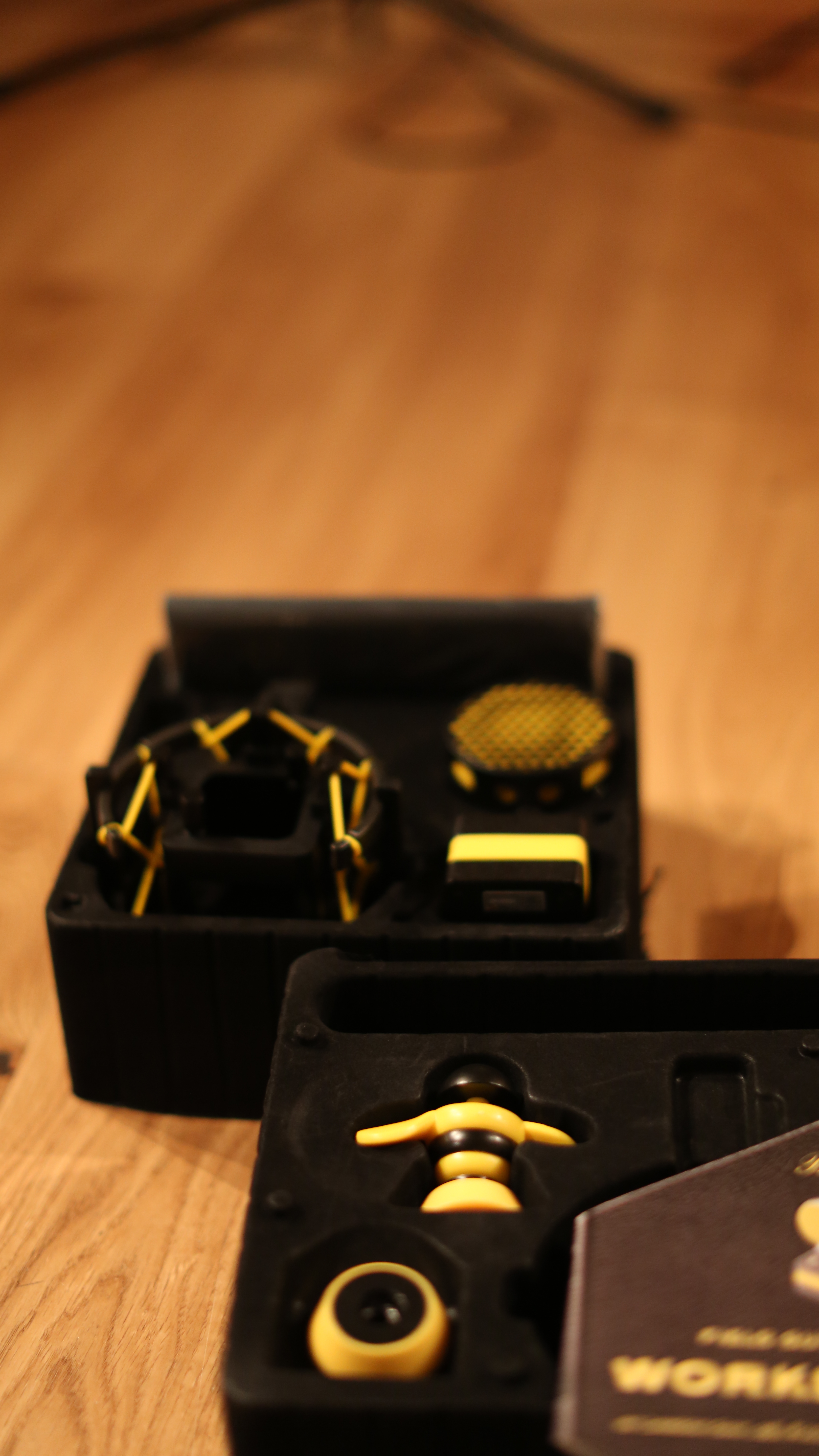 Neat Microphones King Bee : 148A0198.JPG