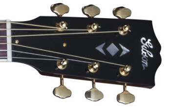 HLAJBWGH1 FRETBOARD PANEL 01 HLAJBWGH1 FRETBOARD PANEL 01