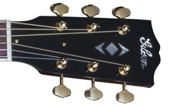 HLAJBWGH1 FRETBOARD PANEL 01 HLAJBWGH1 FRETBOARD PANEL 01