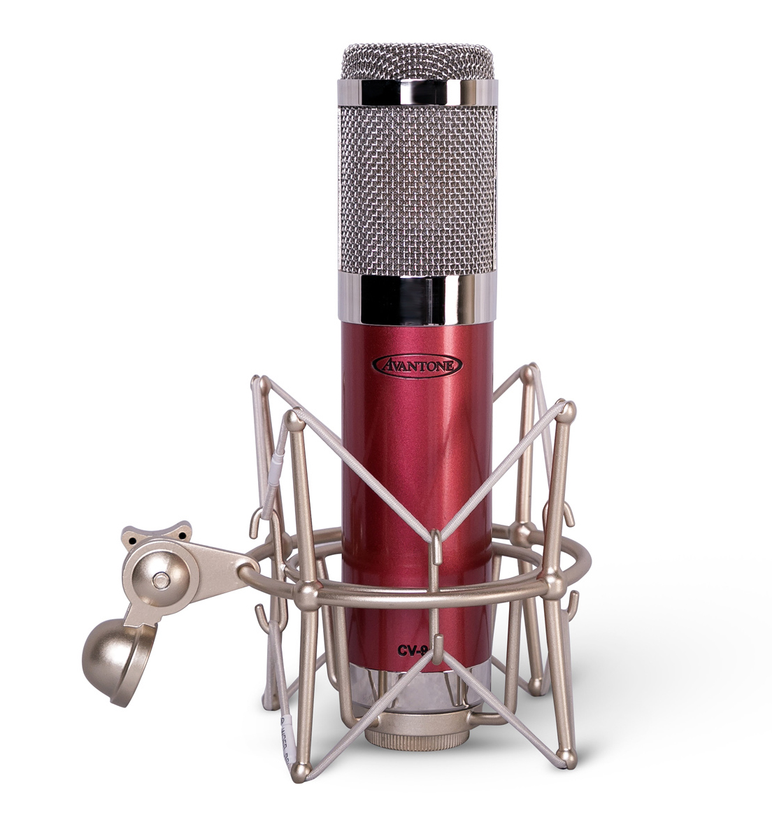 Avantone Pro CV 95 Mic 3