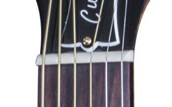 LSL0CAGH1 FRETBOARD PANEL 03 LSL0CAGH1 FRETBOARD PANEL 03