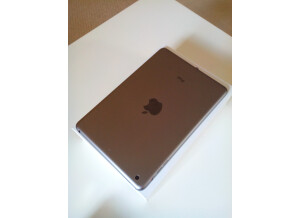 Apple iPad mini 2 (69925)