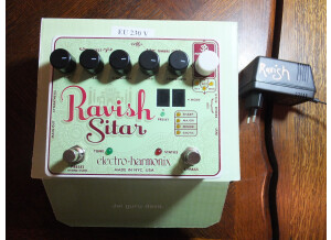 Electro-Harmonix Ravish Sitar (76216)