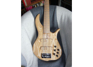 F Bass BN5 (38433)