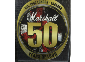 Marshall 1990s DSL1C (92098)