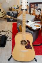 WSL Guitars Limited Edition "Emotion" Zebra