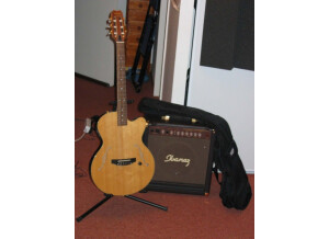 Yamaha AEX 500N