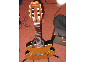 Yamaha AEX 500N