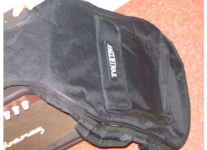 Yamaha AEX 500N