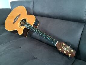 Takamine PSF49C