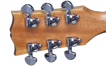 SGN16N5CH1 FRETBOARD PANEL 02 SGN16N5CH1 FRETBOARD PANEL 02