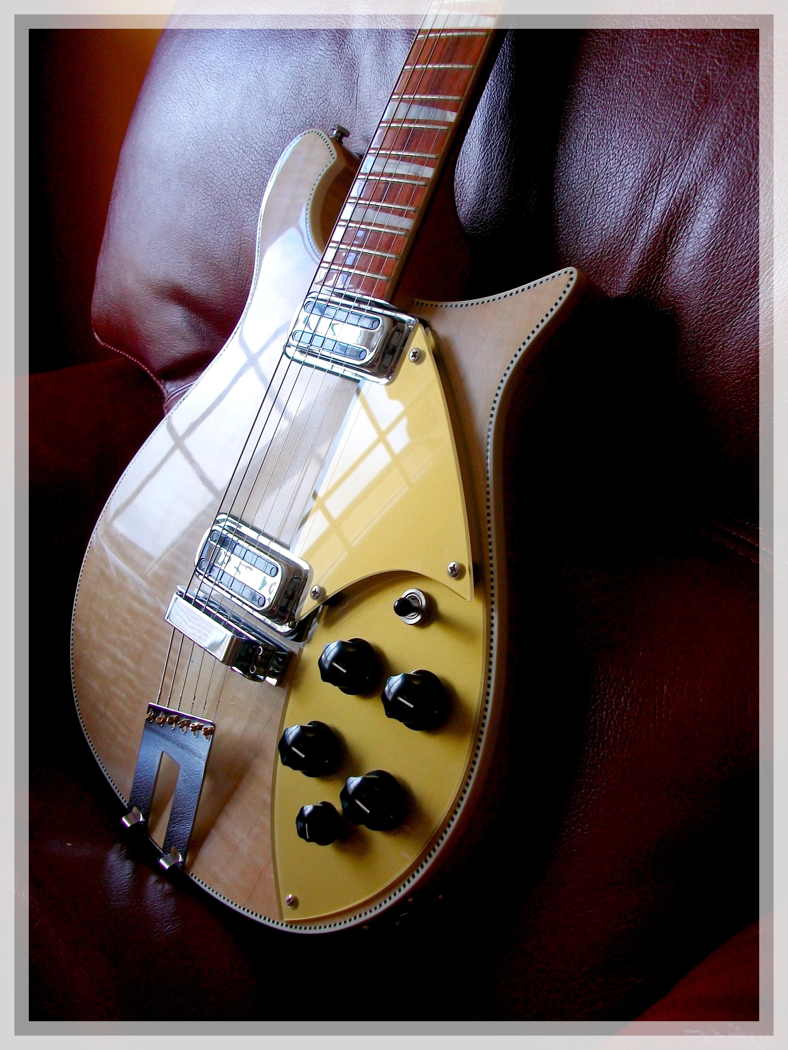 Rickenbacker 660