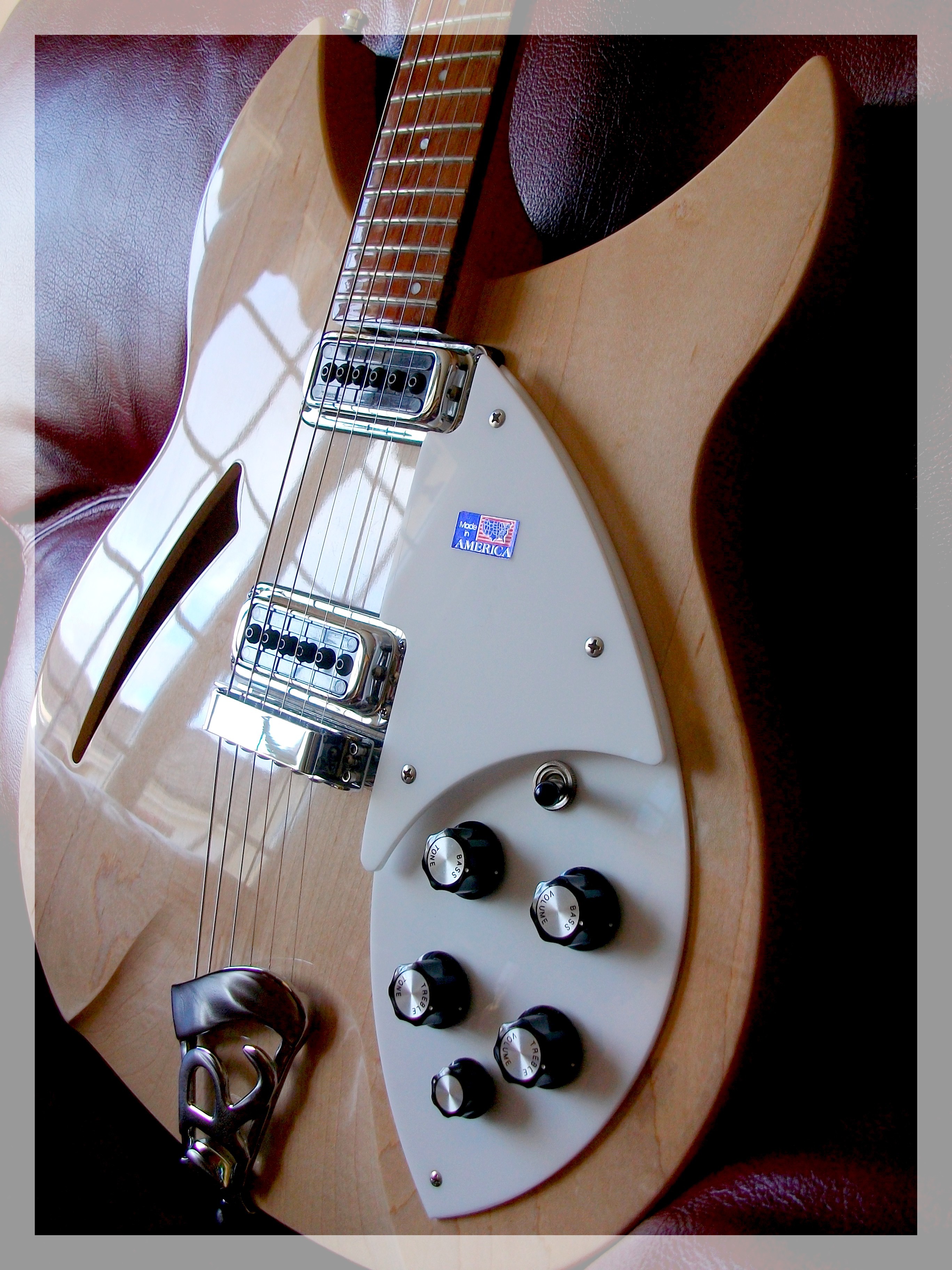 Rickenbacker 330