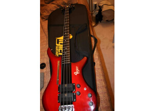 Vigier Passion III (11161)