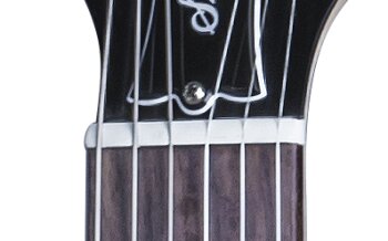 LPSA16NSCH3 FRETBOARD PANEL 03 LPSA16NSCH3 FRETBOARD PANEL 03